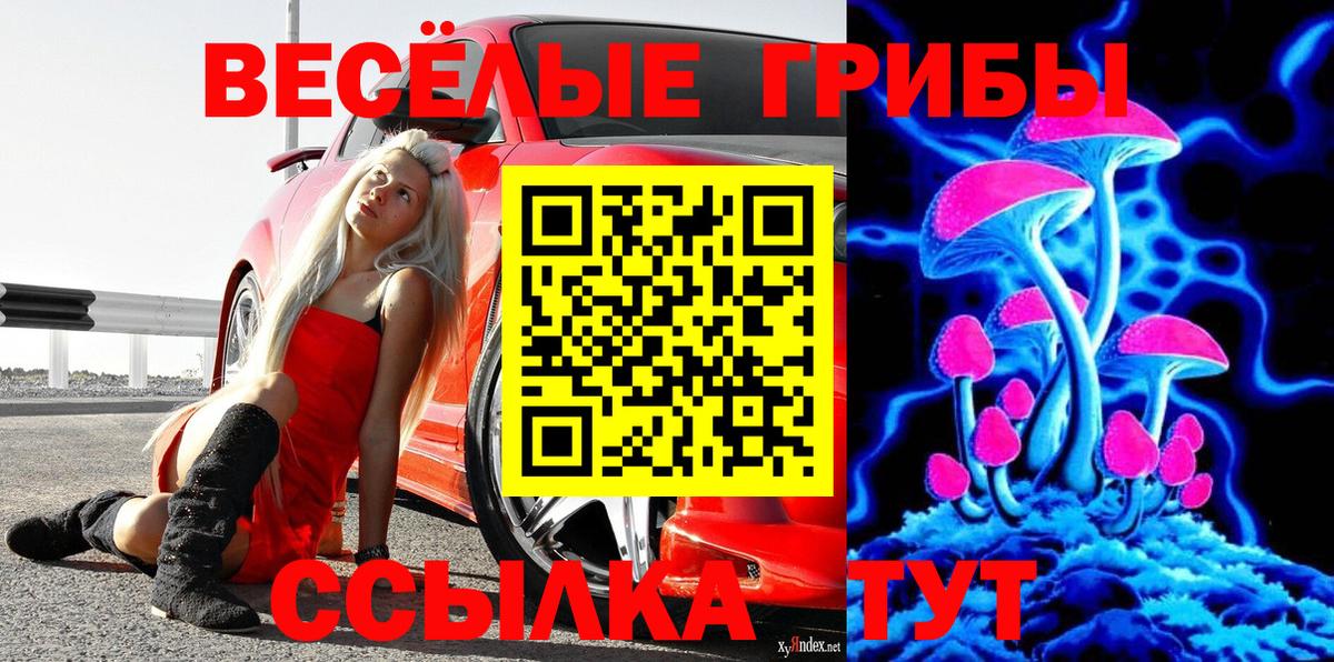 Галлюциногенные грибы GOLDEN TEACHER  Вход с VPN  Шелехов 